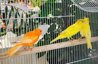 郑州公司吃瓜娱乐,吃瓜娱乐背后的职场生态探秘  第3张