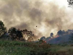 桂平最新爆料事件视频,视频揭露惊人真相！  第1张